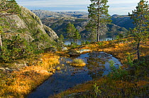 Rocky landscape in the Lomsdal-Visten National Park, Vistenfjord, Helgeland, Nordland, Norway, September 2008