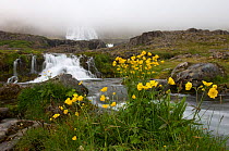 Low clouds over the Dynjandi waterfall, Iceland, July 2008