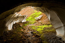 Stream flowing through an Ice cave, Landmannalaugar, Iceland, August 2008