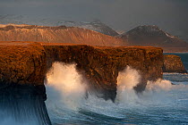 Waves breaking on cliffs on a windy day, Arnarstapi, Snaefellsnes Peninsula, Iceland, February 2011