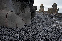 The Londrangar sea stacks, Snaefellsnes peninsula, Iceland, February 2011