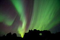 Northern lights above lava formations in Dimmuborgir, Myvatn, Iceland, March 2011