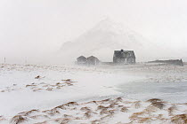 House in Arnarstapi with wind blowing snow, Snaefellsnes peninsula, Iceland, March 2011