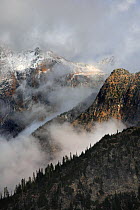 View to Mt.Logan Ridge in low clouds from the Maple-Loop Trail in Rainy Pass area of North Cascades National Park, Cascade Range, Washington, USA, October 2009.