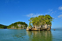 Islets of calcareous formation, Los Haitises National Park, Samana Province, Dominican Republic, Espanola / Hispaniola  Island, Caribbean Sea, January 2012.