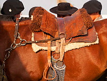 A traditional Paraguayan saddle on a Quarter mare, with four cowboys behind, Estancia Tacuaty, Misiones, Paraguay, January 2012