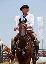 A traditionally dressed cowboy riding a Quarter mare, during the rodeo of the Festival de la Doma y el Folclore, Estancia Tacuaty, Misiones, Paraguay, January 2012. No release available.