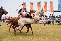 A traditionally dressed cowboy tries to remain on a bronc (unbroken) Quarter mare, during the rodeo of the Festival de la Doma y el Folclore, Estancia Tacuaty, Misiones, Paraguay. Sequence 2/2. Januar...