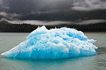 Iceberg in Endicott Arm, Inside Passage, Southeast Alaska, USA, July 2006