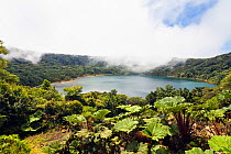 Laguna Botos crater lake, Poas National Park, Costa Rica, 2007