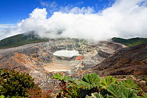Looking down into Poas Volcano crater, Poas National Park, Costa Rica, 2007