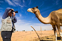 Photographer with Dromedary camel (Camelus dromedarius), Libya, Sahara, November 2007