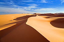 Sand dunes, Erg Murzuk, Libyan desert, Libya, Sahara, North Africa, November 2007