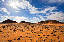 Libyan Desert, Stony Desert, Akakus mountains, Libya, Sahara, North Africa, November 2007