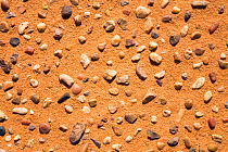 Pattern of little stones in the Libyan desert, Libya, Sahara, North Africa 2007