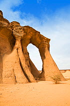 Tin Aregha Sandstone Arch in Akakus mountains, Libya, Sahara, North Africa, November 2007