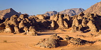 Rock formations in the Libyan desert, Wadi Awis, Akakus mountains, Libya, North Africa, November 2007