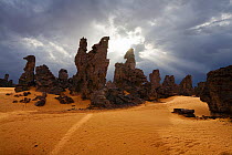 Stony desert, Tassili Maridet, Libya, North Africa, December 2007