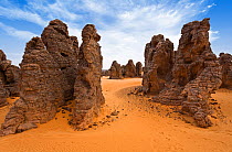 Stony desert, Tassili Maridet, Libya, North Africa , December 2007
