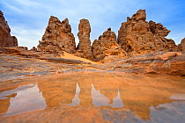 Stony desert after rain shower, Tassili Maridet, Libya, North Africa, December 2007