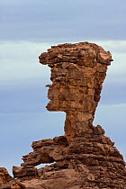 Face profile rock formation, Stony desert, Tassili Maridet, Libya, North Africa, December 2007
