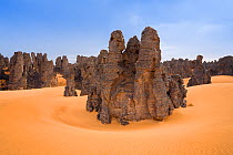Stony desert, Tassili Maridet, Libya, Sahara, North Africa, December 2007