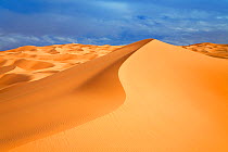 Sand dunes in the Libyan desert, Sahara, Libya, North Africa, December 2007