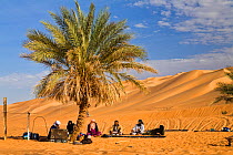 Tuaregs under date Palm at Mandara Lakes, oasis Um el Ma, Libyan desert, Libya, Sahara, North Africa, December 2007. No release available.