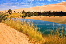 Mandara Lakes in the dunes of Ubari, oasis Um el Ma, Libyan desert, Libya, Sahara, North Africa, December 2007
