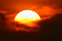 Transit of the planet Venus acros the Sun, image taken from Barcelona, Spain, 06.36, 6 June 2012.