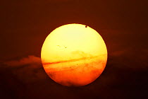 Transit of the planet Venus acros the Sun, image taken from Barcelona, Spain,  06.38, 6 June 2012.