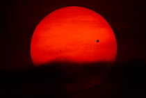 The transit of Venus across the face of the sun, with visible sunspots, as seen from Aurora, Colorado, USA, 19.51 local time, 5 June 2012.