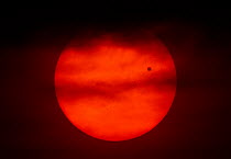 The transit of Venus across the face of the sun, with visible sunspots, as seen from Aurora, Colorado, USA, 19.49 local time, 5 June 2012.