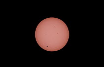 Transit of the planet Venus acros the Sun, taken from Cairns, North Queensland, Australia, image taken with use of a BAADER filter, 09.43 local time, 6 June 2012.