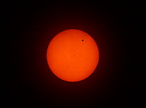 The transit of Venus across the face of the sun, with visible sunspots, as seen from Aurora, Colorado, USA, 18.01 local time, 5 June 2012.