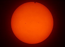 The transit of Venus across the face of the sun, with visible sunspots, as seen from Aurora, Colorado, USA, 16.24 local time, 5 June 2012.