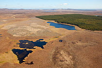 Aerial view of Forsinard Flows blanket bog, with pine plantation in the background, Forsinard, Caithness, Scotland, UK, May. 2020VISION Exhibition.