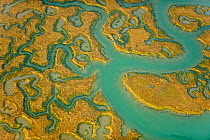 Aerial view of saltmarsh landscape, Abbotts Hall Farm Nature Reserve, Essex, England, UK, March 2012. 2020VISION Exhibition. Did you know? Salt marshes are great for removing and storing carbon dioxid...