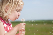 Young girl blowing a Dandelion seedhead (Taraxacum officinale) UK, April 2011. Model released