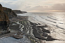 Scenic view of coastline and geology, Dunraven Bay, Glamorgan Heritage Coast, Wales, UK, December 2012.