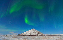 Northern lights / Aurora borealis over snowy landscape, Iceland, Europe, March 2012