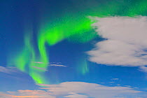 Northern lights / Aurora borealis, Iceland, Europe, March 2012