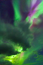 Northern lights / Aurora borealis over Southern Iceland, Iceland, Europe, March 2012
