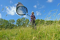 RSPB research ecologist Chloe Hardman using sweep net to sample invertebrate populations, RSPB Hope Farm reserve, Cambridgeshire, England, UK, May. Model released. 2020VISION Book Plate.