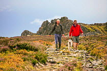 Two friends walking dog on moorland track.