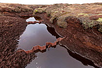 Plastic gully blocking structures in eroded peat moorland drainage channels.