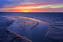 Mudflats at dawn, Sandyhills Bay, Solway Firth, Dumfries and Galloway, Scotland, UK