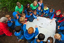 Children from Rowley View Nursery School participating in the Moorcroft Environmental Centre Forest School, Moorcroft Wood, Moxley, Walsall, West Midlands, England, UK, July 2011. Model released. 2020...