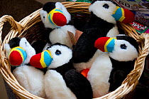 Puffin souvenirs in National Trust shop in Seahouses, Northumberland