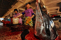 People selling a dolphin meat at a country market, head on display, Hainan Island, China, April 2012.